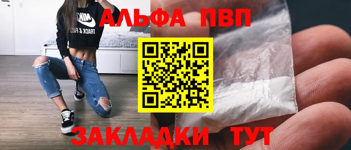 Альфа ПВП СК Губаха
