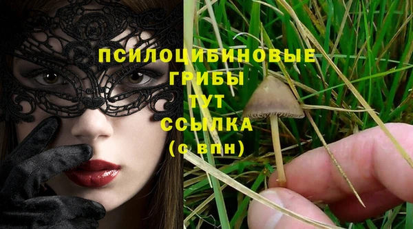 сатива Балабаново