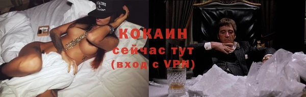 сатива Балабаново