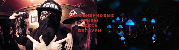 сатива Балабаново