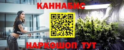 ешки Кингисепп