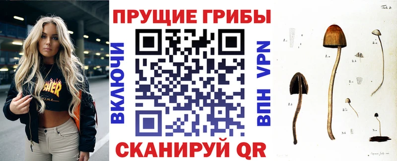 Псилоцибиновые грибы GOLDEN TEACHER Губаха