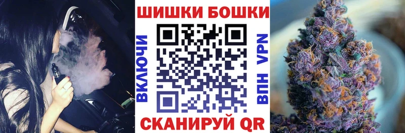 Бошки марихуана план  KRAKEN   Губаха  где продают наркотики 