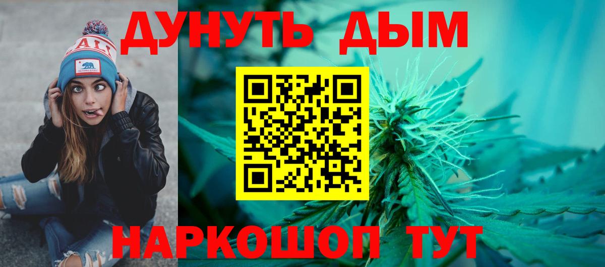 Конопля сатива Губаха